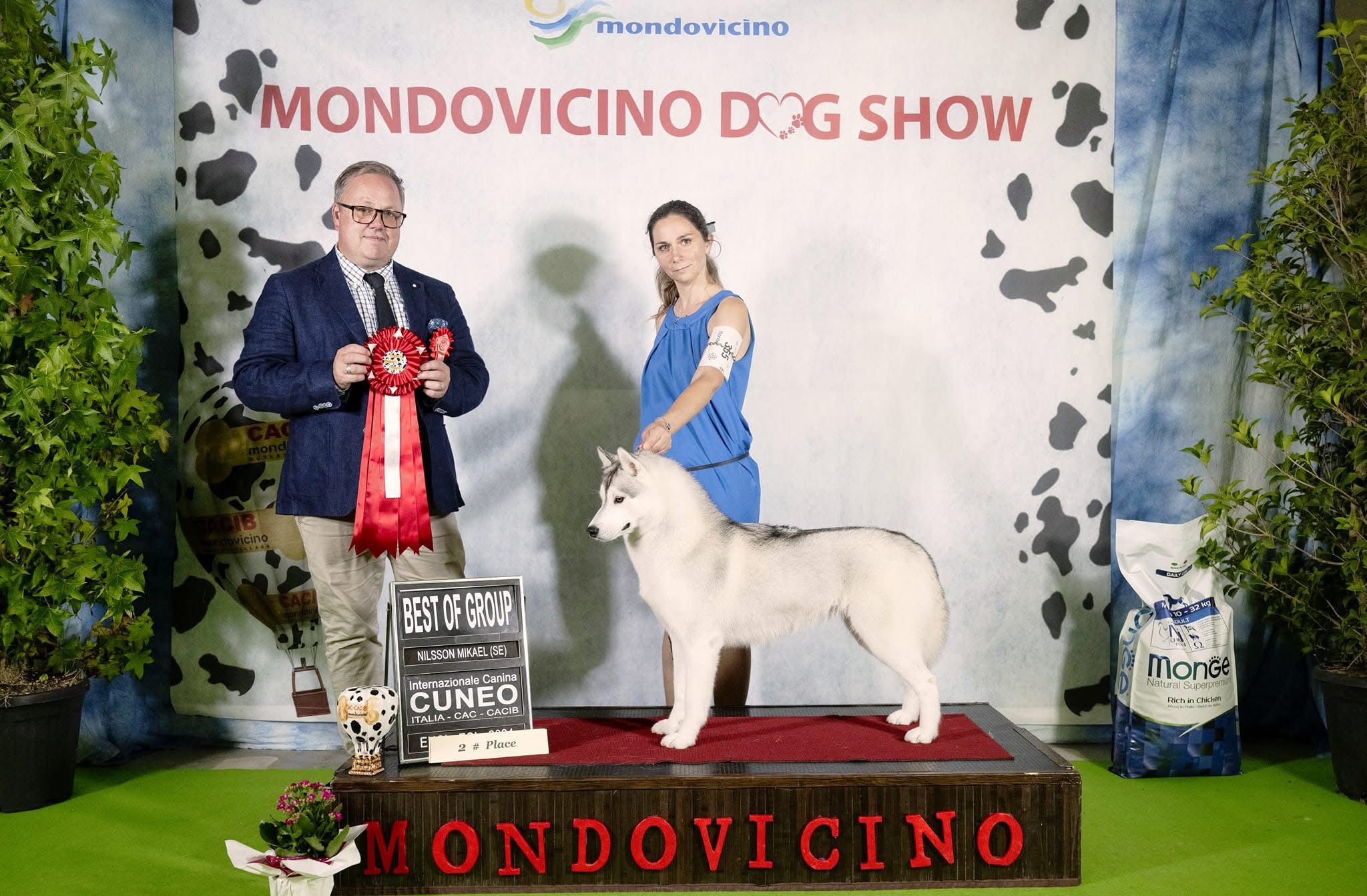expo-mondovicino