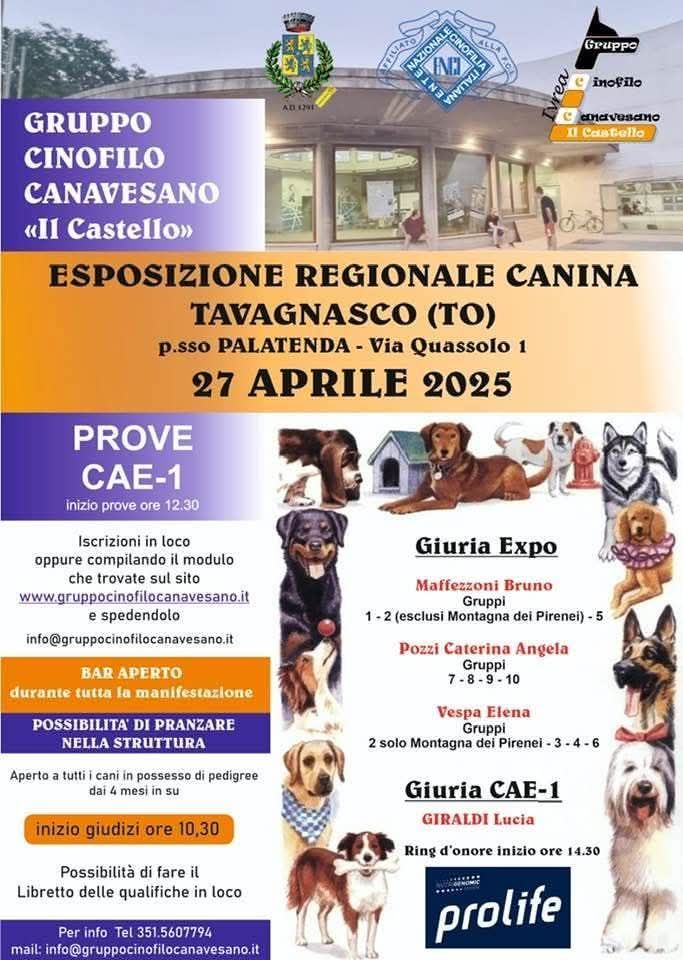 expo-regionale-tavagnasco-2025